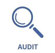 AUDIT-1