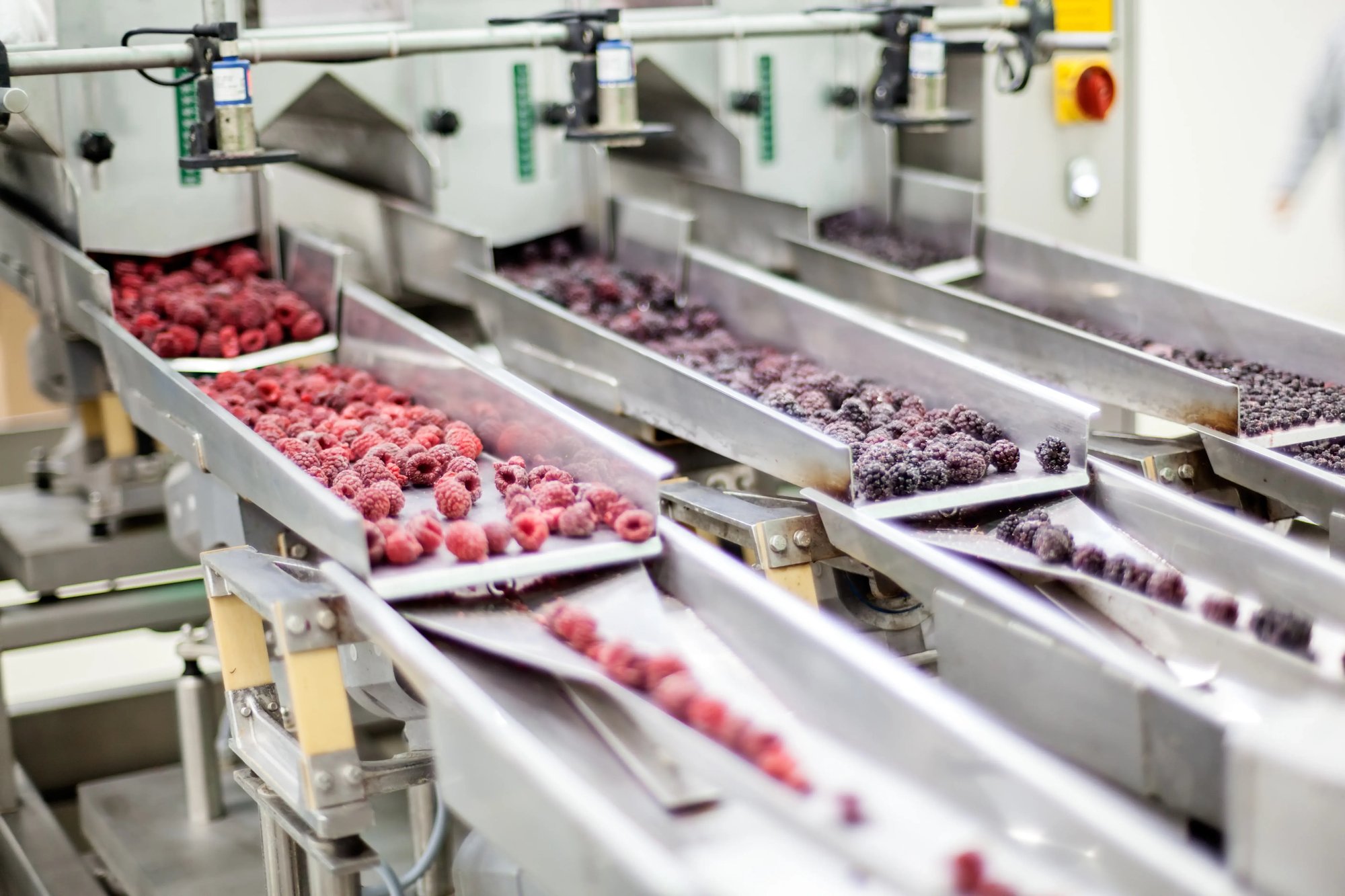 FoodProcessingThumbnail